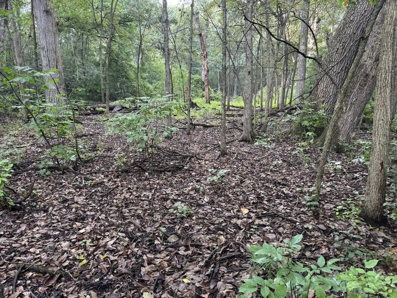 Photo 2 of Land for sale at Lt1 Woodstead Rd, Waterford, WI 53185 | MLS# 1979105 | Listing updated on 2026-09-07