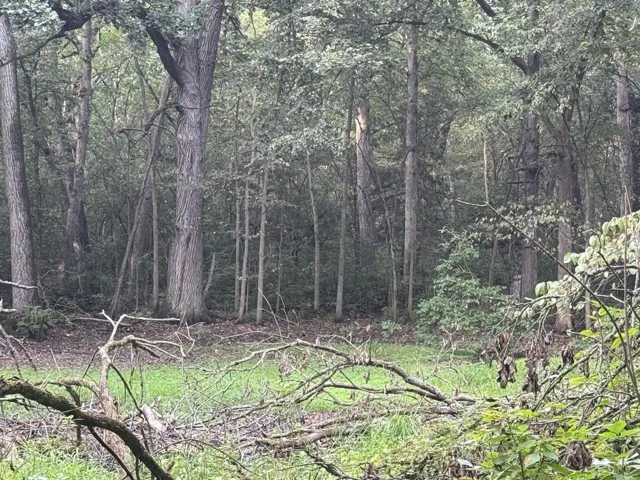 Photo 3 of Land for sale at Lt1 Woodstead Rd, Waterford, WI 53185 | MLS# 1979105 | Listing updated on 2026-09-07