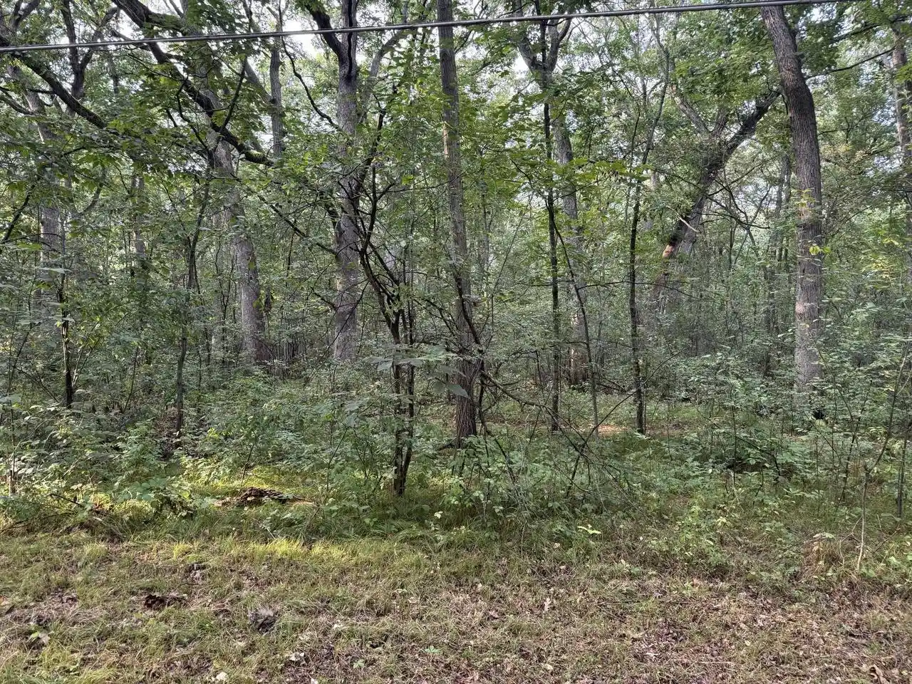 Photo 3 of Land for sale at Lt1 Woodstead Rd, Waterford, WI 53185 | MLS# 1979105 | Listing updated on 2026-09-07