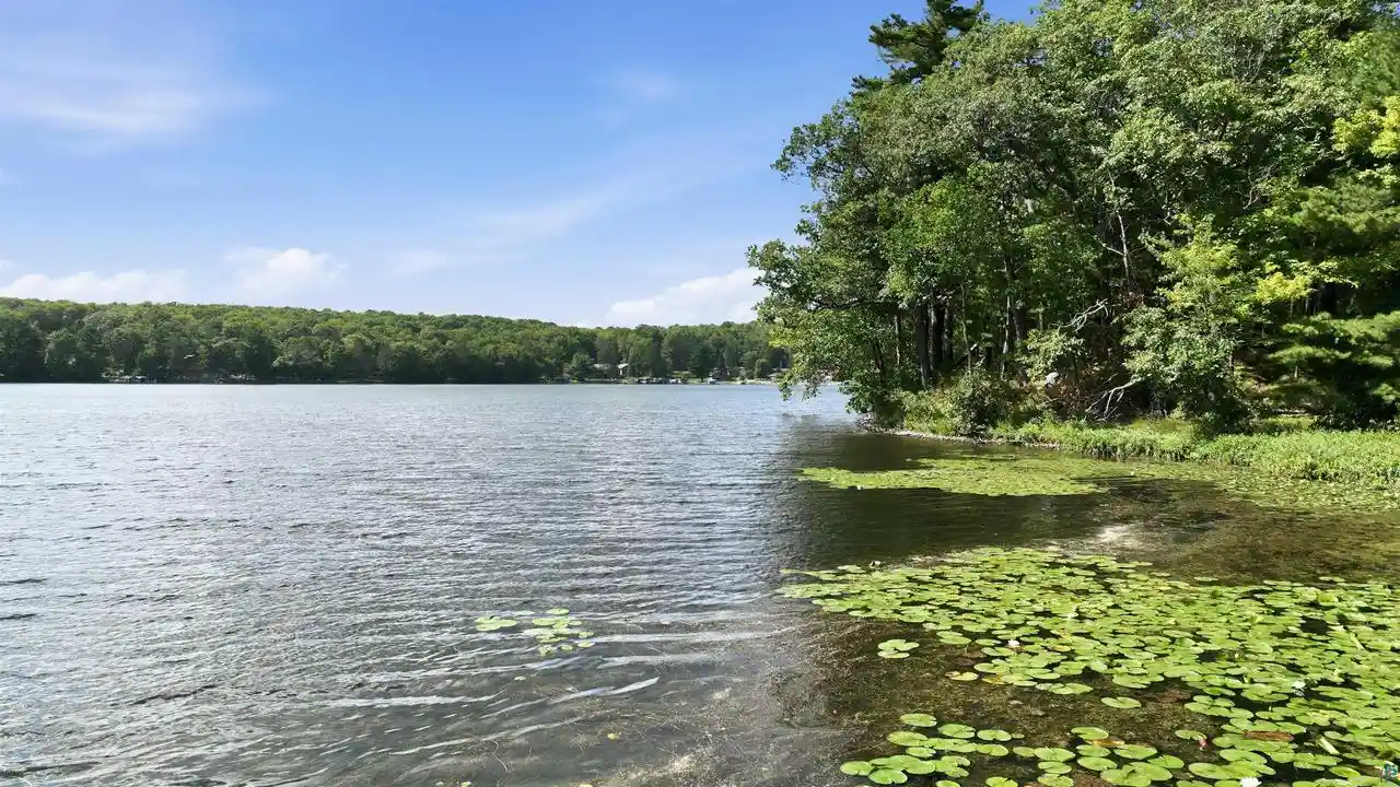 Photo 3 of Land for sale at 7343 N Kroehler Ln, Hayward, WI 54843 | MLS# 6127794 | Listing updated on 2026-09-14