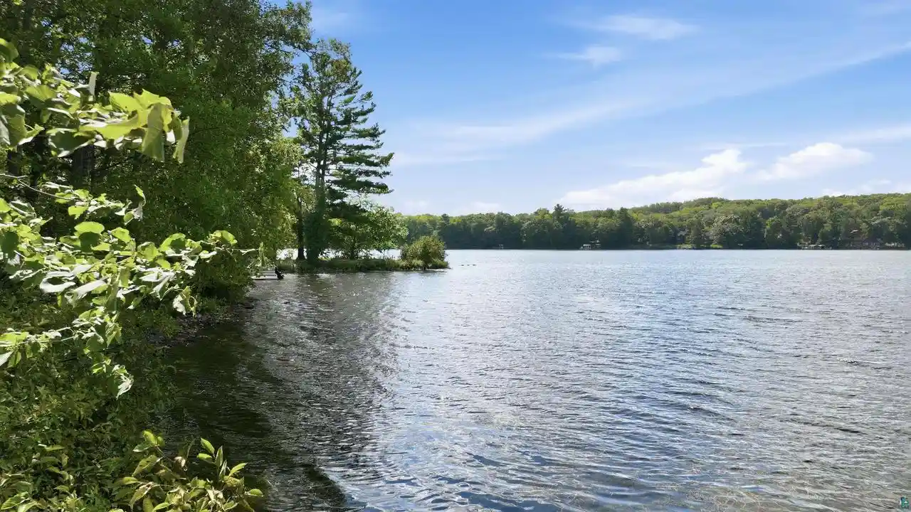Photo 4 of Land for sale at 7343 N Kroehler Ln, Hayward, WI 54843 | MLS# 6127794 | Listing updated on 2026-09-14