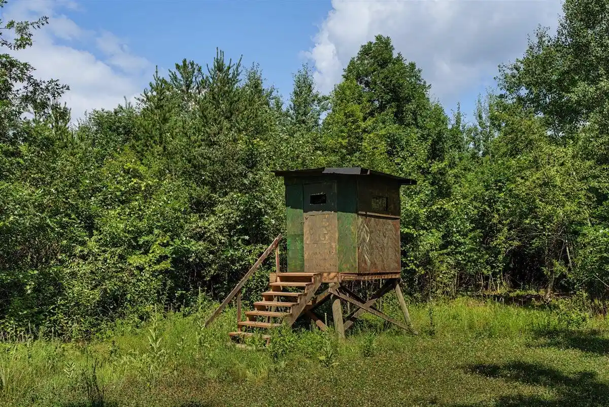 Photo 4 of Land for sale at 2058 County Rd Z, Friendship, WI 53934 | MLS# 1979174 | Listing updated on 2026-09-04