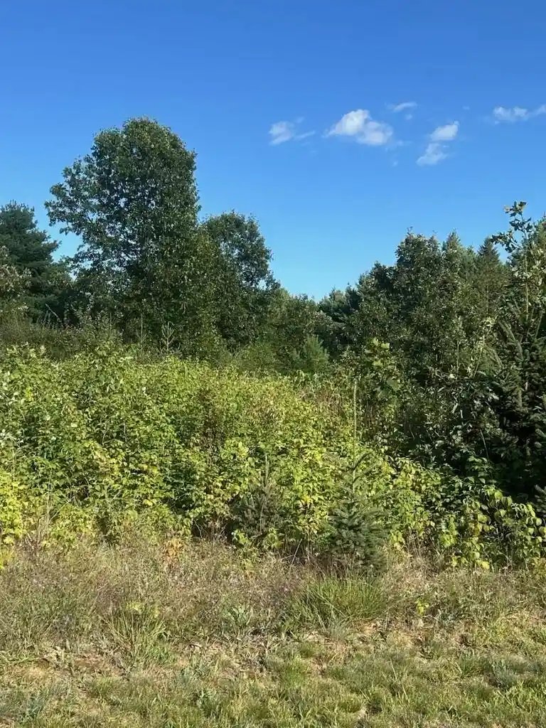 Photo 2 of Land for sale at Dayton Rd, Waupaca, WI 54981 | MLS# 50332172 | Listing updated on 2026-09-04