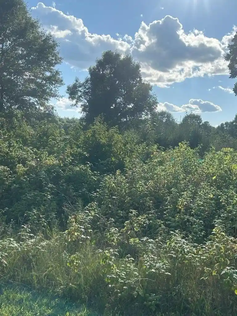 Photo 3 of Land for sale at Dayton Rd, Waupaca, WI 54981 | MLS# 50332172 | Listing updated on 2026-09-04