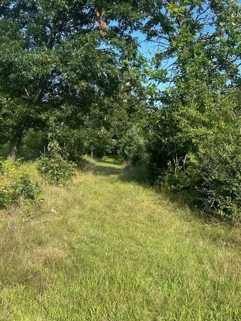 Photo 3 of Land for sale at Dayton Rd, Waupaca, WI 54981 | MLS# 50332172 | Listing updated on 2026-09-04