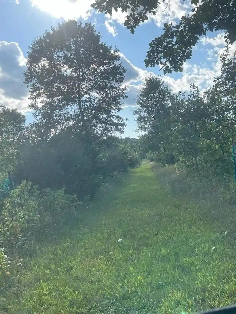 Photo 4 of Land for sale at Dayton Rd, Waupaca, WI 54981 | MLS# 50332172 | Listing updated on 2026-09-04