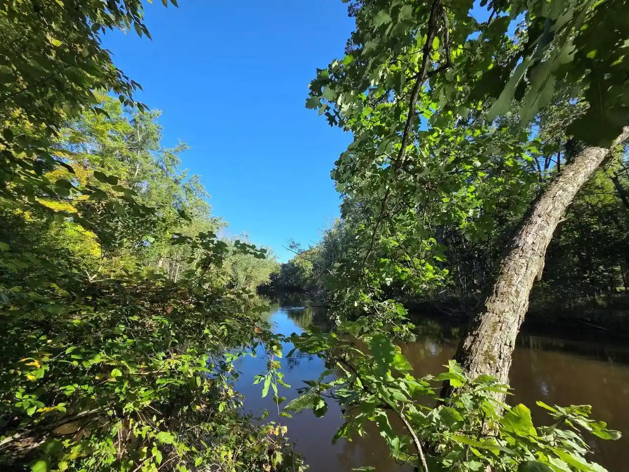 Photo 3 of Land for sale at River Rd, Suring, WI 54174 | MLS# 50332173 | Listing updated on 2026-09-30