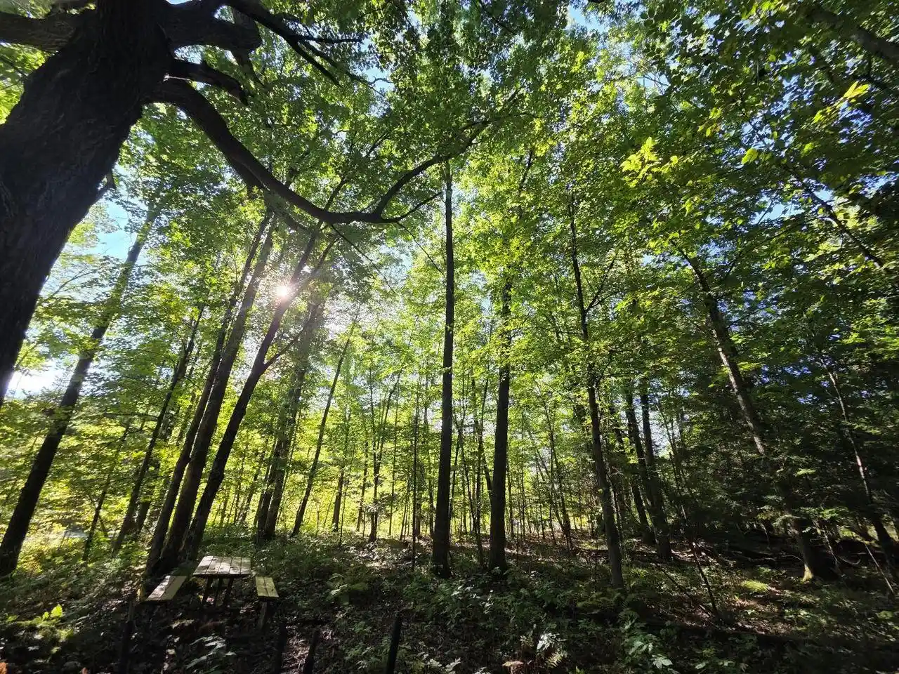 Photo 3 of Land for sale at River Rd, Suring, WI 54174 | MLS# 50332173 | Listing updated on 2026-09-30
