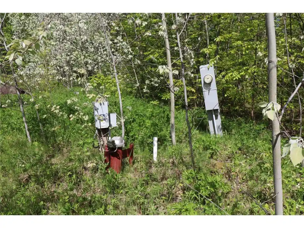 Photo 4 of Land for sale at Lot 19 Eagle Run, Bayfield, WI 54814 | MLS# 7139099 | Listing updated on 2026-09-04