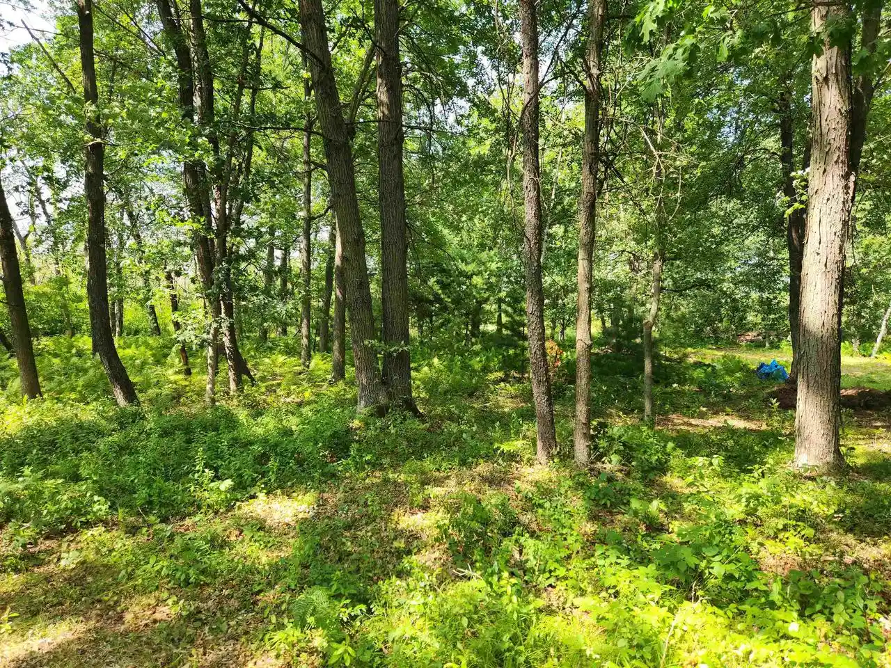 Photo 2 of Land for sale at State Rd 21, Redgranite, WI 54970 | MLS# 2032017 | Listing updated on 2026-09-04