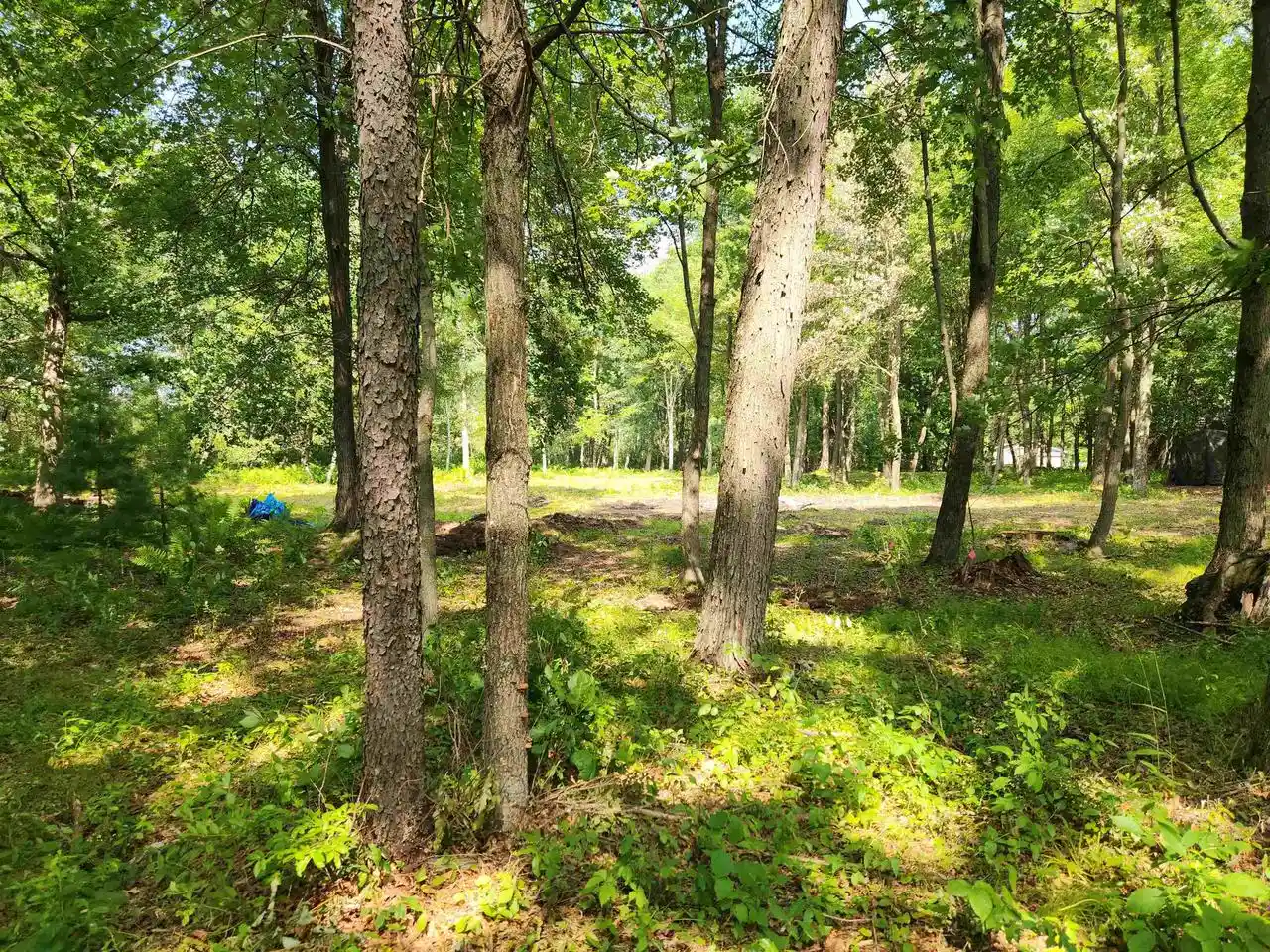 Photo 3 of Land for sale at State Rd 21, Redgranite, WI 54970 | MLS# 2032017 | Listing updated on 2026-09-04