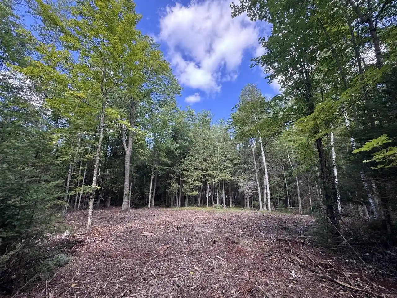 Land for sale at W5700 Pinewood Dr, Niagara, WI 54151 | MLS# 50332181
