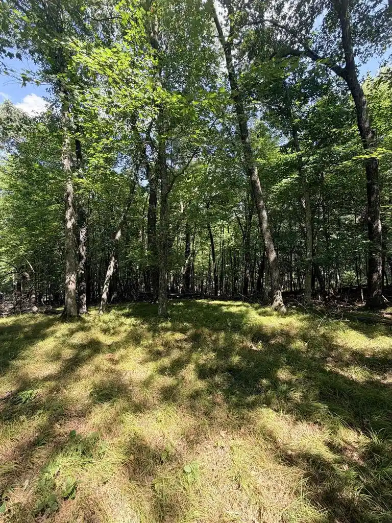 Photo 2 of Land for sale at E769 Augusta Ln, Waupaca, WI 54981 | MLS# 50332183 | Listing updated on 2026-09-04