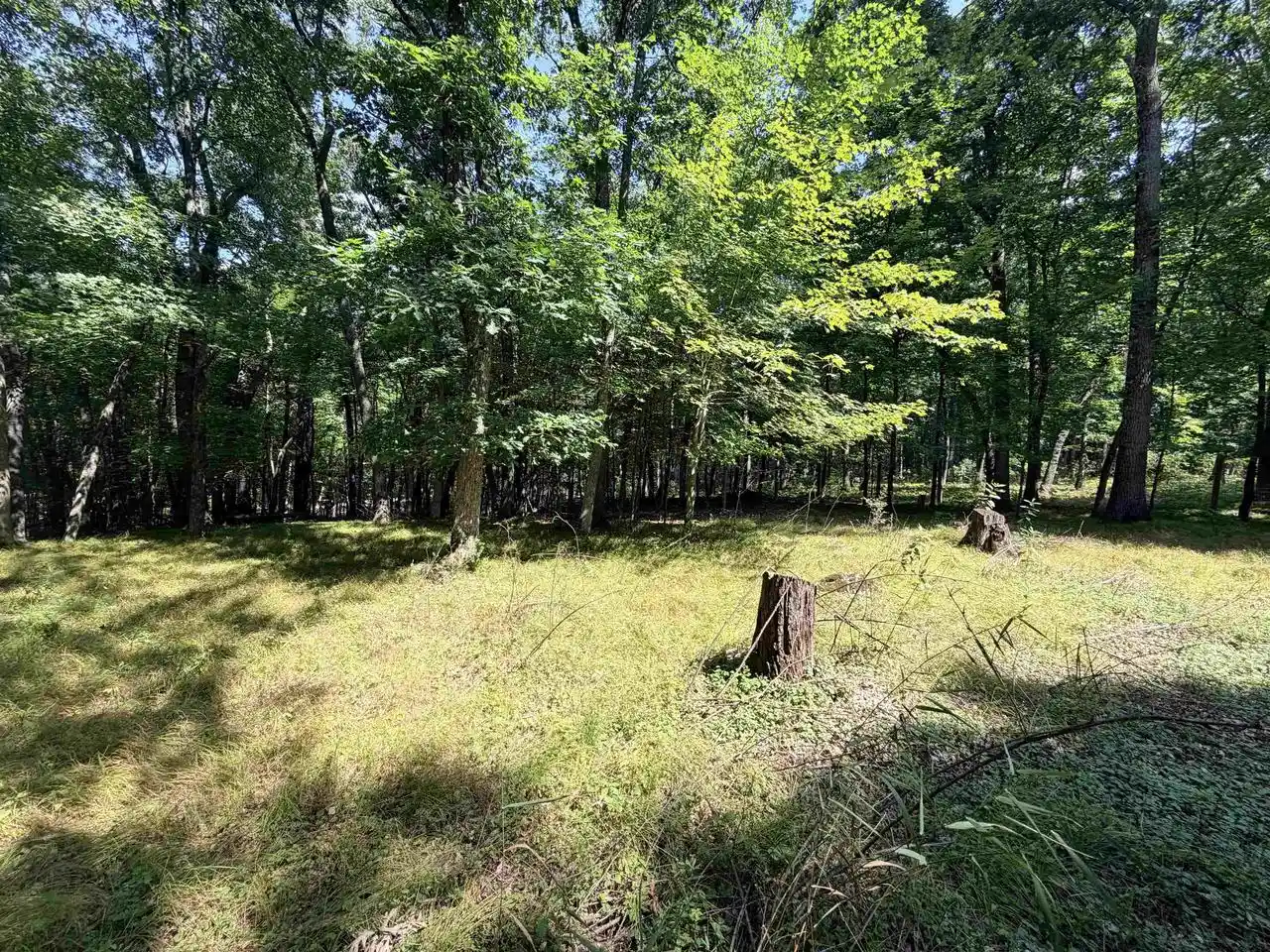 Photo 3 of Land for sale at E769 Augusta Ln, Waupaca, WI 54981 | MLS# 50332183 | Listing updated on 2026-09-04
