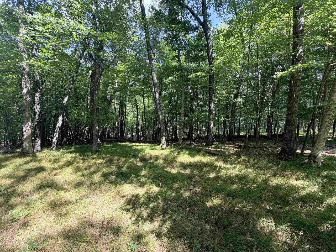 Photo 4 of Land for sale at E769 Augusta Ln, Waupaca, WI 54981 | MLS# 50332183 | Listing updated on 2026-09-04