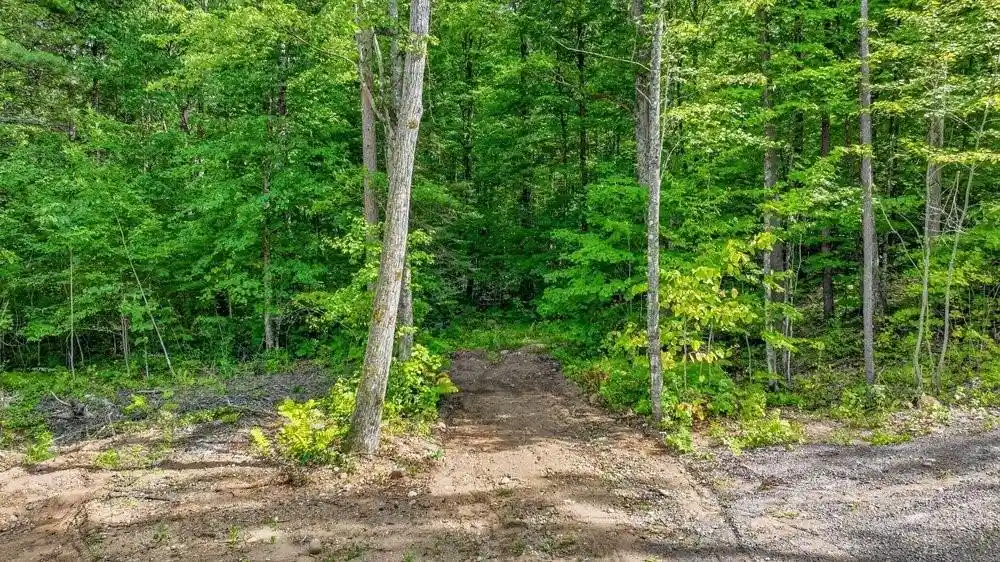 Photo 4 of Land for sale at 10194 Hardwood Hills Dr, Hayward, WI 54843 | MLS# 1604857 | Listing updated on 2026-09-04
