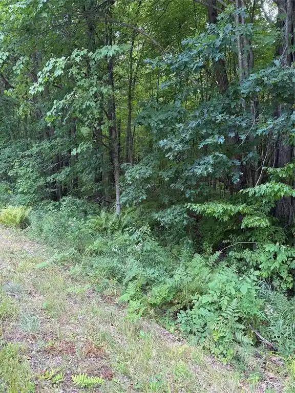 Photo 1 of Land for sale at 00 S County Rd G, Boyd, WI 54726 | MLS# 1604290 | Listing updated on 2026-09-04