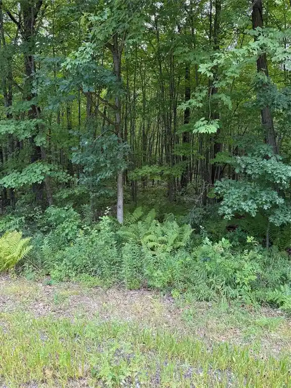 Photo 2 of Land for sale at 00 S County Rd G, Boyd, WI 54726 | MLS# 1604290 | Listing updated on 2026-09-04