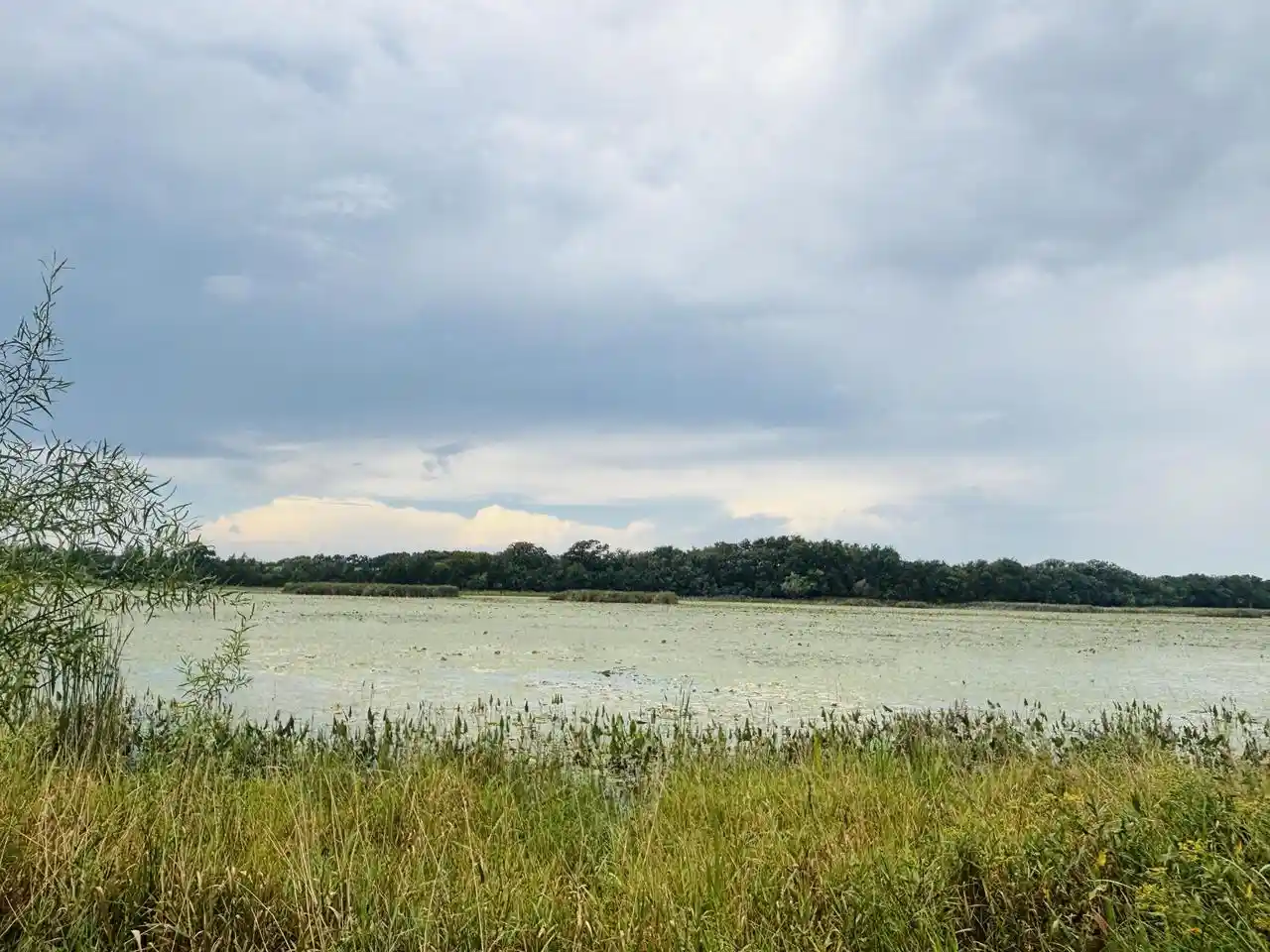 Land for sale at S69w39606 County Rd N, Eagle, WI 53119 | MLS# 1979263