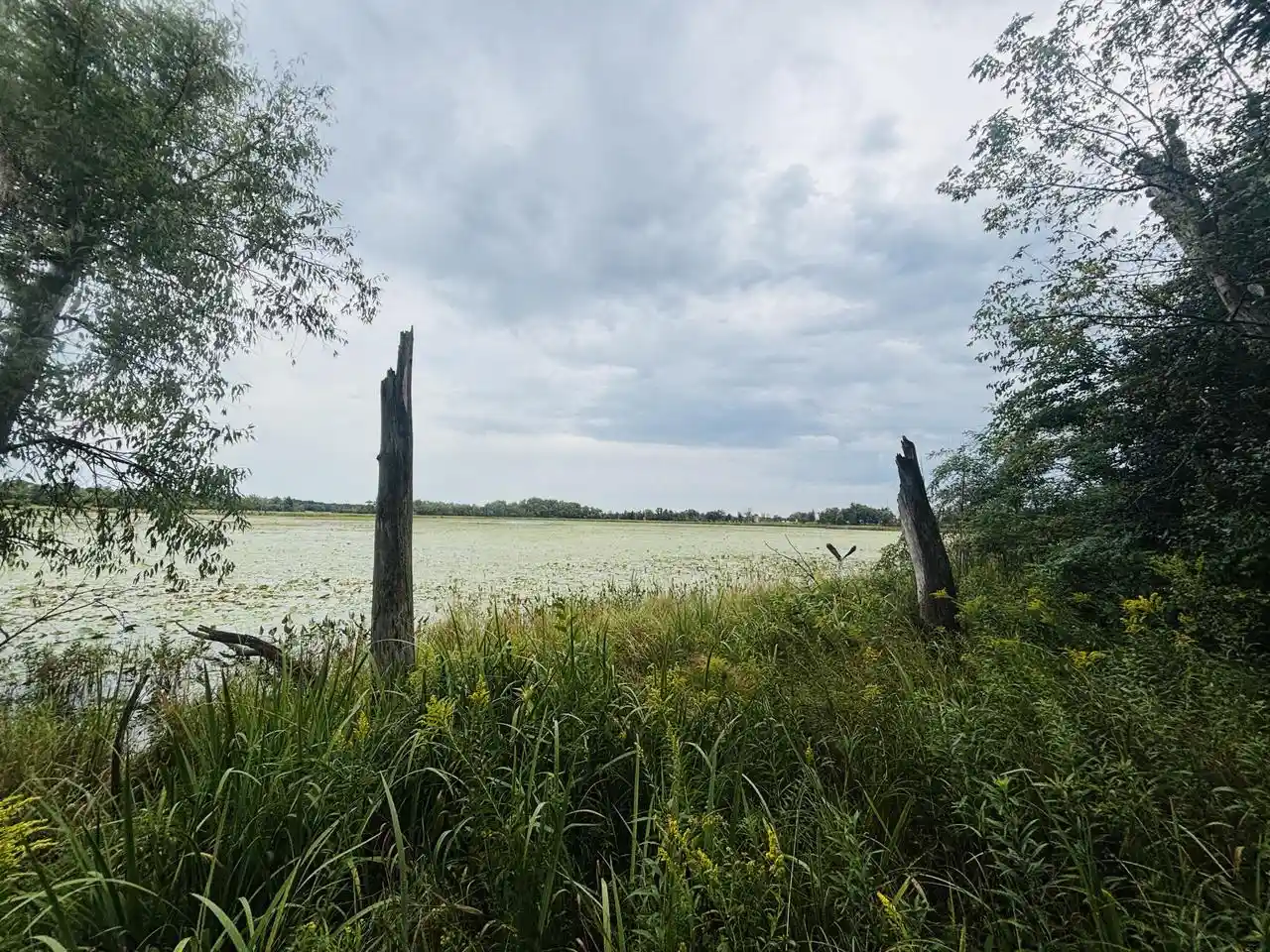 Photo 2 of Land for sale at S69w39606 County Rd N, Eagle, WI 53119 | MLS# 1979263 | Listing updated on 2026-09-17