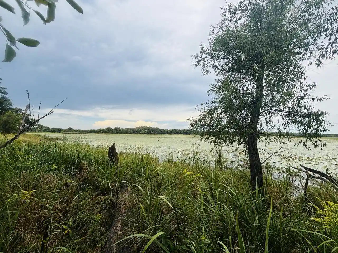 Photo 3 of Land for sale at S69w39606 County Rd N, Eagle, WI 53119 | MLS# 1979263 | Listing updated on 2026-09-17