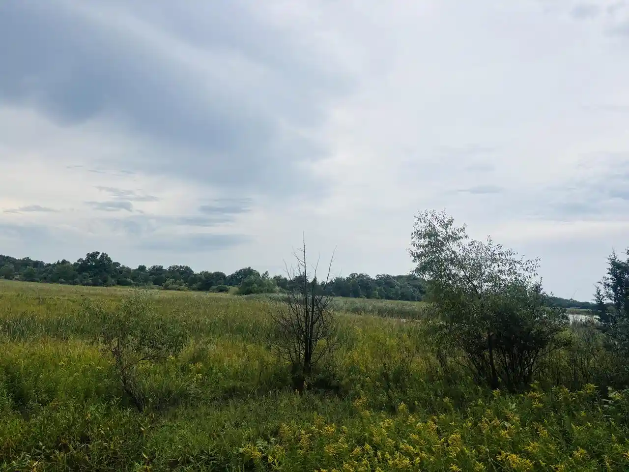 Photo 3 of Land for sale at S69w39606 County Rd N, Eagle, WI 53119 | MLS# 1979263 | Listing updated on 2026-09-17