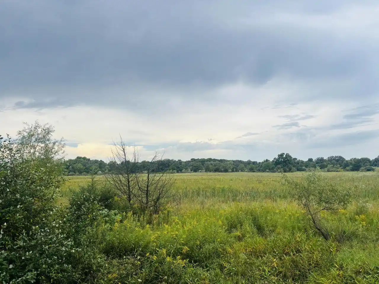 Photo 4 of Land for sale at S69w39606 County Rd N, Eagle, WI 53119 | MLS# 1979263 | Listing updated on 2026-09-17