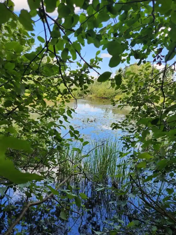 Photo 1 of Land for sale at On Peninsula Dr #Lots 6 + 7, Phillips, WI 54555 | MLS# 22604385 | Listing updated on 2026-09-14