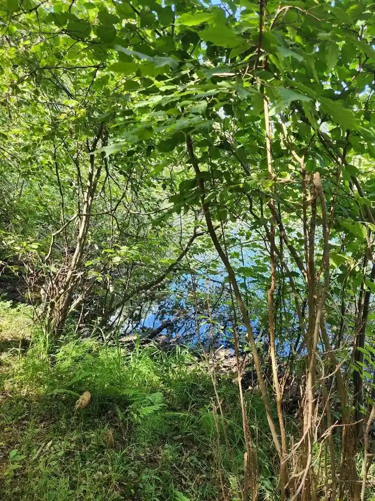 Photo 2 of Land for sale at On Peninsula Dr #Lots 6 + 7, Phillips, WI 54555 | MLS# 22604385 | Listing updated on 2026-09-14
