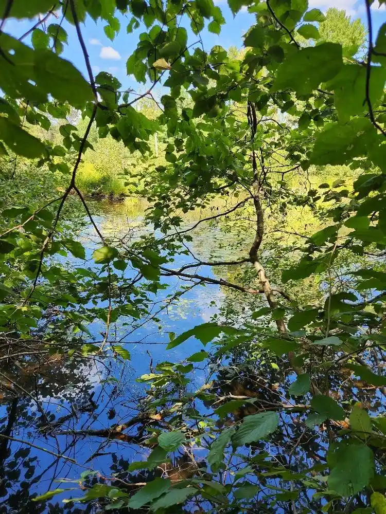 Photo 2 of Land for sale at On Peninsula Dr #Lots 6 + 7, Phillips, WI 54555 | MLS# 22604385 | Listing updated on 2026-09-14