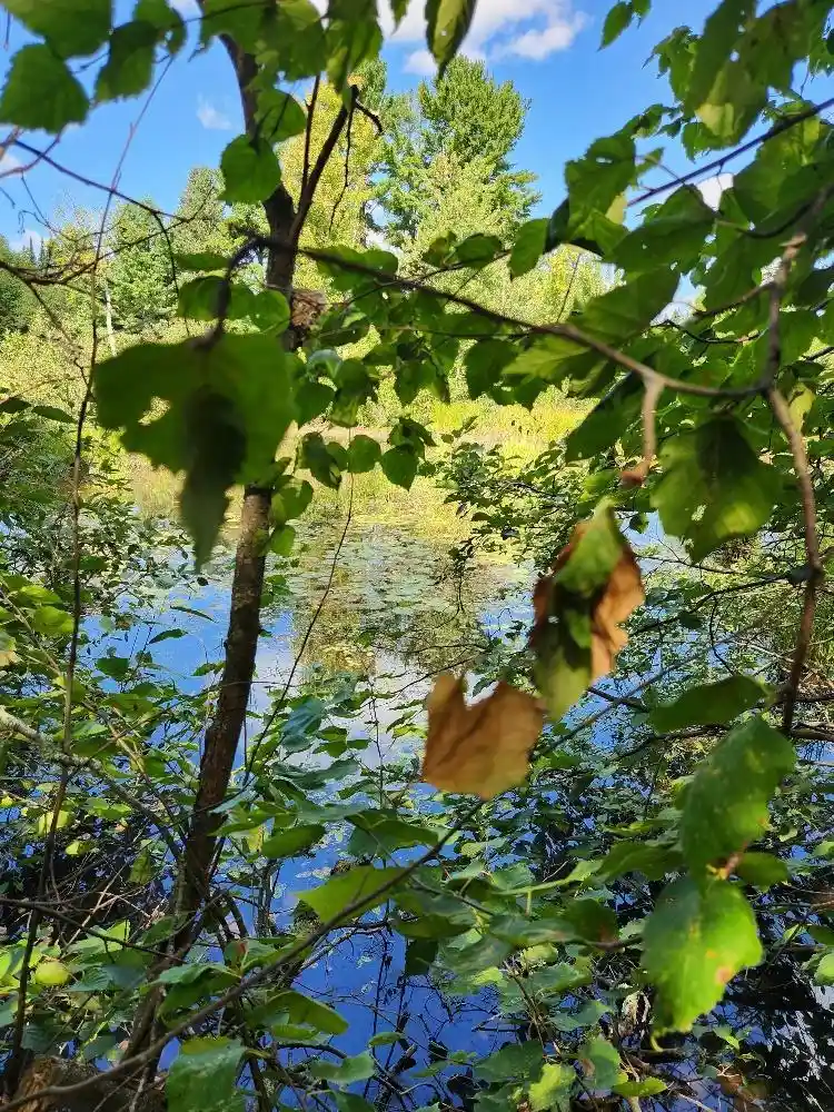 Photo 3 of Land for sale at On Peninsula Dr #Lots 6 + 7, Phillips, WI 54555 | MLS# 22604385 | Listing updated on 2026-09-14