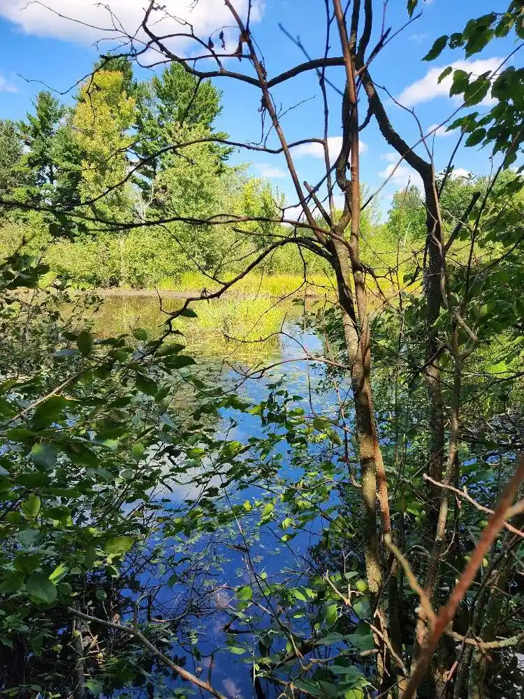 Photo 4 of Land for sale at On Peninsula Dr #Lots 6 + 7, Phillips, WI 54555 | MLS# 22604385 | Listing updated on 2026-09-14