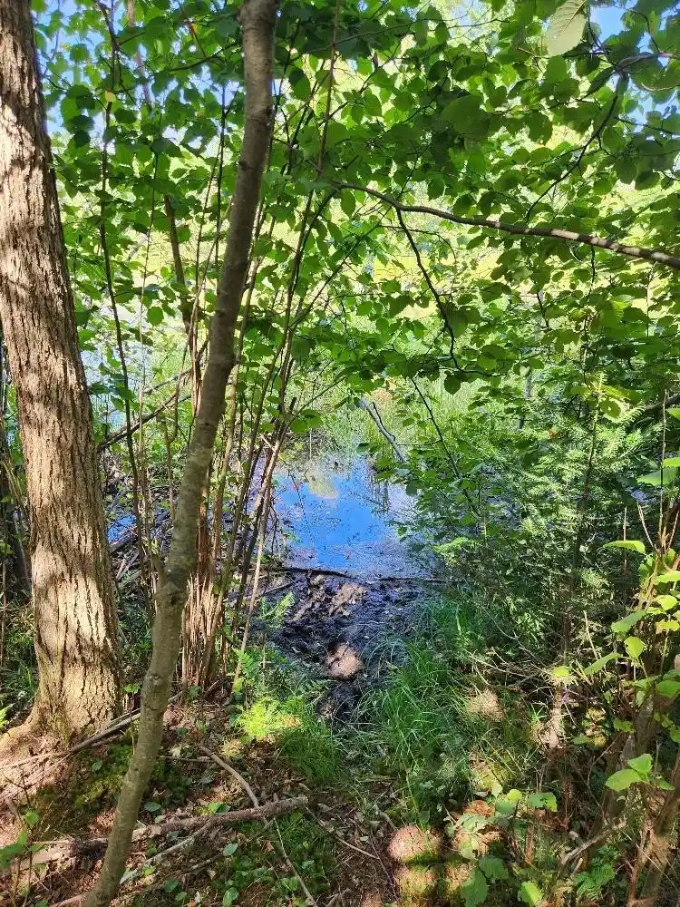 Photo 30 of Land for sale at On Peninsula Dr #Lots 6 + 7, Phillips, WI 54555 | MLS# 22604385 | Listing updated on 2026-09-14
