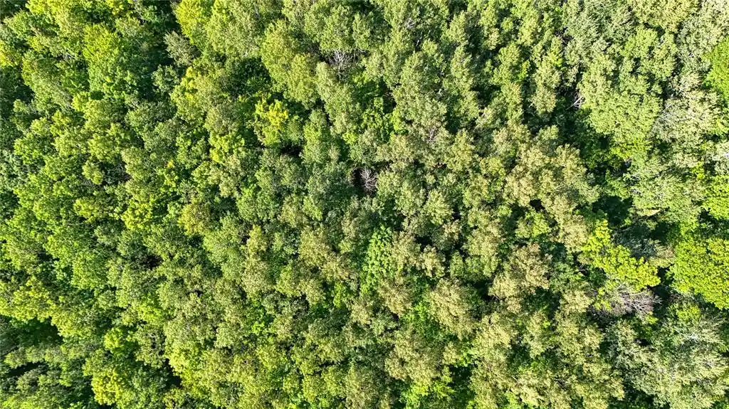 Photo 2 of Land for sale at 26615 Star Route Rd, Bayfield, WI 54814 | MLS# 1604800 | Listing updated on 2026-09-05