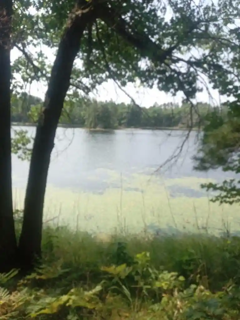 Photo 1 of Land for sale at 1505 Swallow Ln, Lac Du Flambeau, WI 54538 | MLS# 22604387 | Listing updated on 2026-09-05