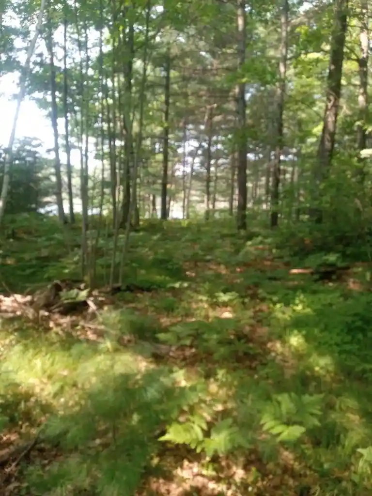 Photo 2 of Land for sale at 1505 Swallow Ln, Lac Du Flambeau, WI 54538 | MLS# 22604387 | Listing updated on 2026-09-05