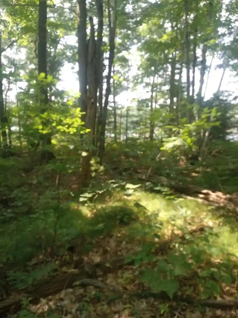 Photo 2 of Land for sale at 1505 Swallow Ln, Lac Du Flambeau, WI 54538 | MLS# 22604387 | Listing updated on 2026-09-05
