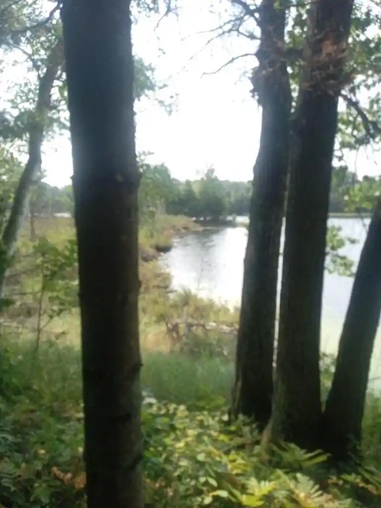 Photo 4 of Land for sale at 1505 Swallow Ln, Lac Du Flambeau, WI 54538 | MLS# 22604387 | Listing updated on 2026-09-05