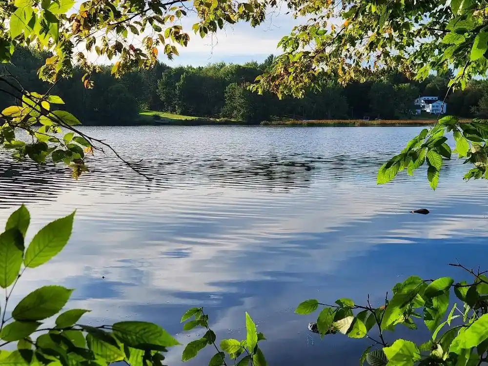 Photo 1 of Land for sale at N6038 Gruening Ln, Tomahawk, WI 54487 | MLS# 22604386 | Listing updated on 2026-09-12