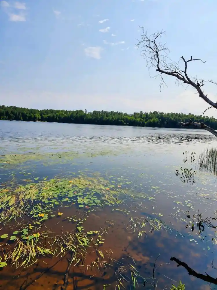 Photo 1 of Land for sale at On W Amber Lake Rd #Lot 1, Lac Du Flambeau, WI 54538 | MLS# 22604388 | Listing updated on 2026-09-05