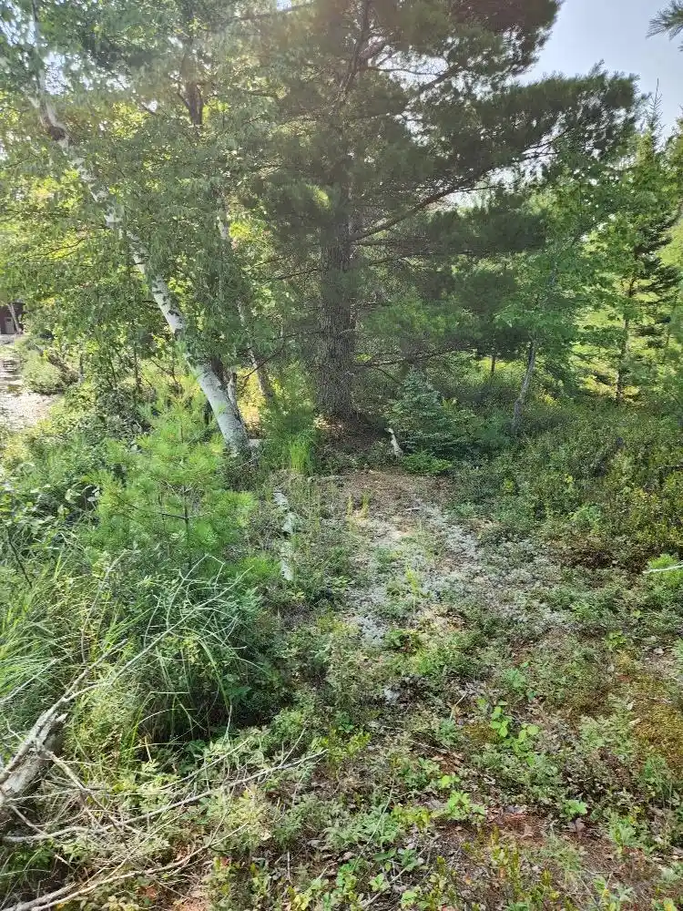 Photo 2 of Land for sale at On W Amber Lake Rd #Lot 1, Lac Du Flambeau, WI 54538 | MLS# 22604388 | Listing updated on 2026-09-05