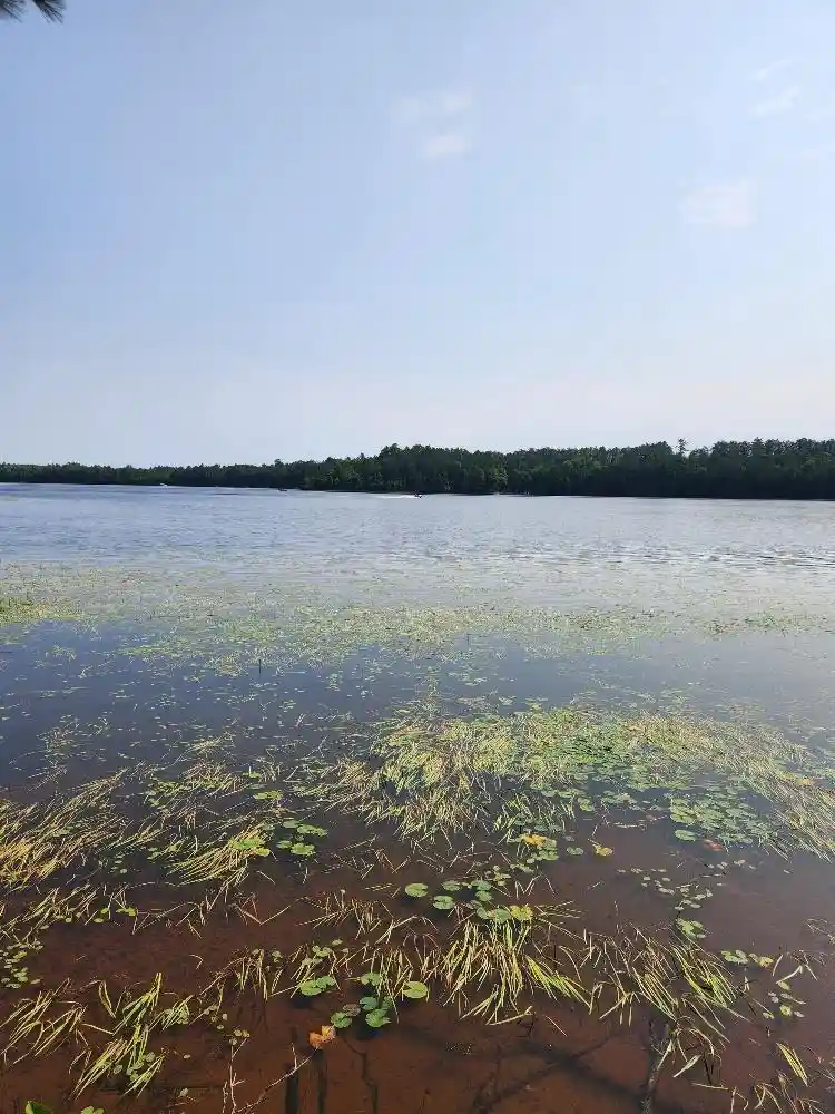 Photo 3 of Land for sale at On W Amber Lake Rd #1, Lac Du Flambeau, WI 54538 | MLS# 22604388 | Listing updated on 2026-09-05
