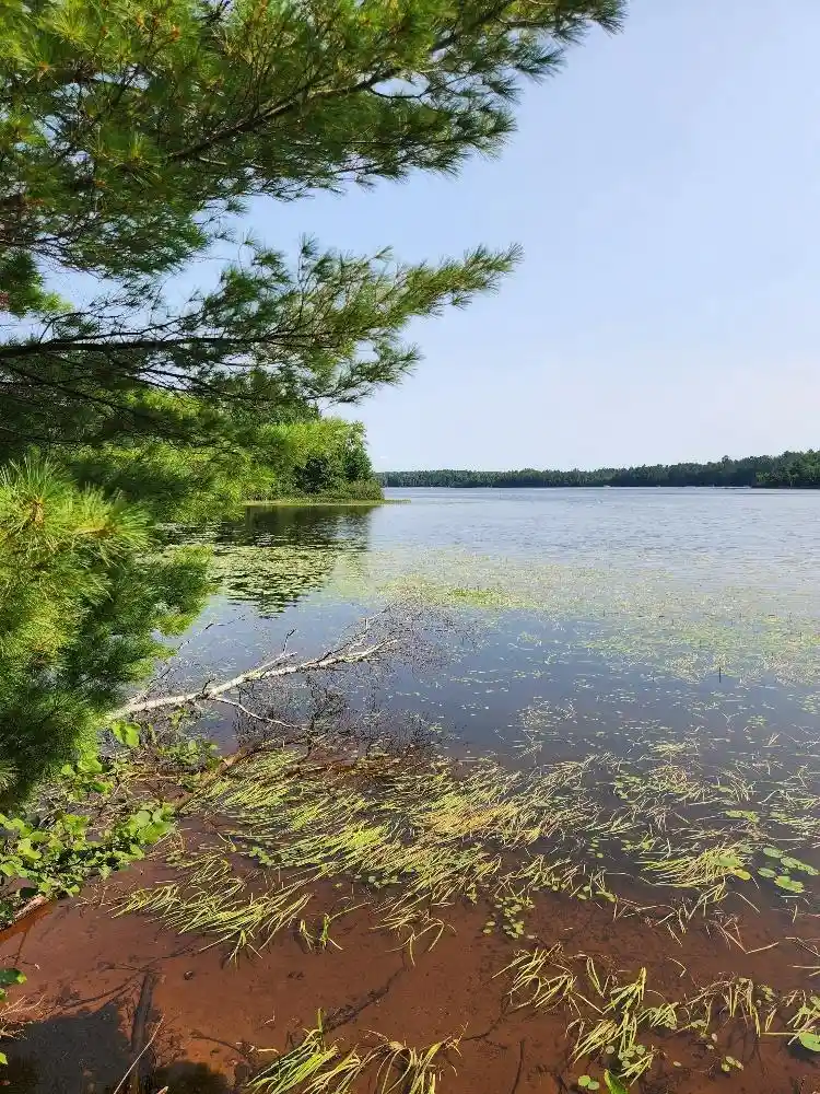 Photo 4 of Land for sale at On W Amber Lake Rd #1, Lac Du Flambeau, WI 54538 | MLS# 22604388 | Listing updated on 2026-09-05