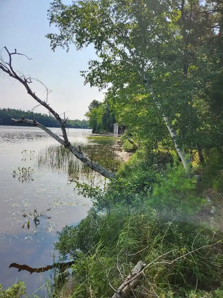 Photo 16 of Land for sale at On W Amber Lake Rd #Lot 1, Lac Du Flambeau, WI 54538 | MLS# 22604388 | Listing updated on 2026-09-05