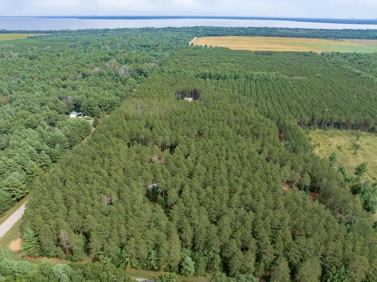Photo 2 of Land for sale at N12080 14th Avenue, Necedah, WI 54646 | MLS# 2032064 | Listing updated on 2026-09-15