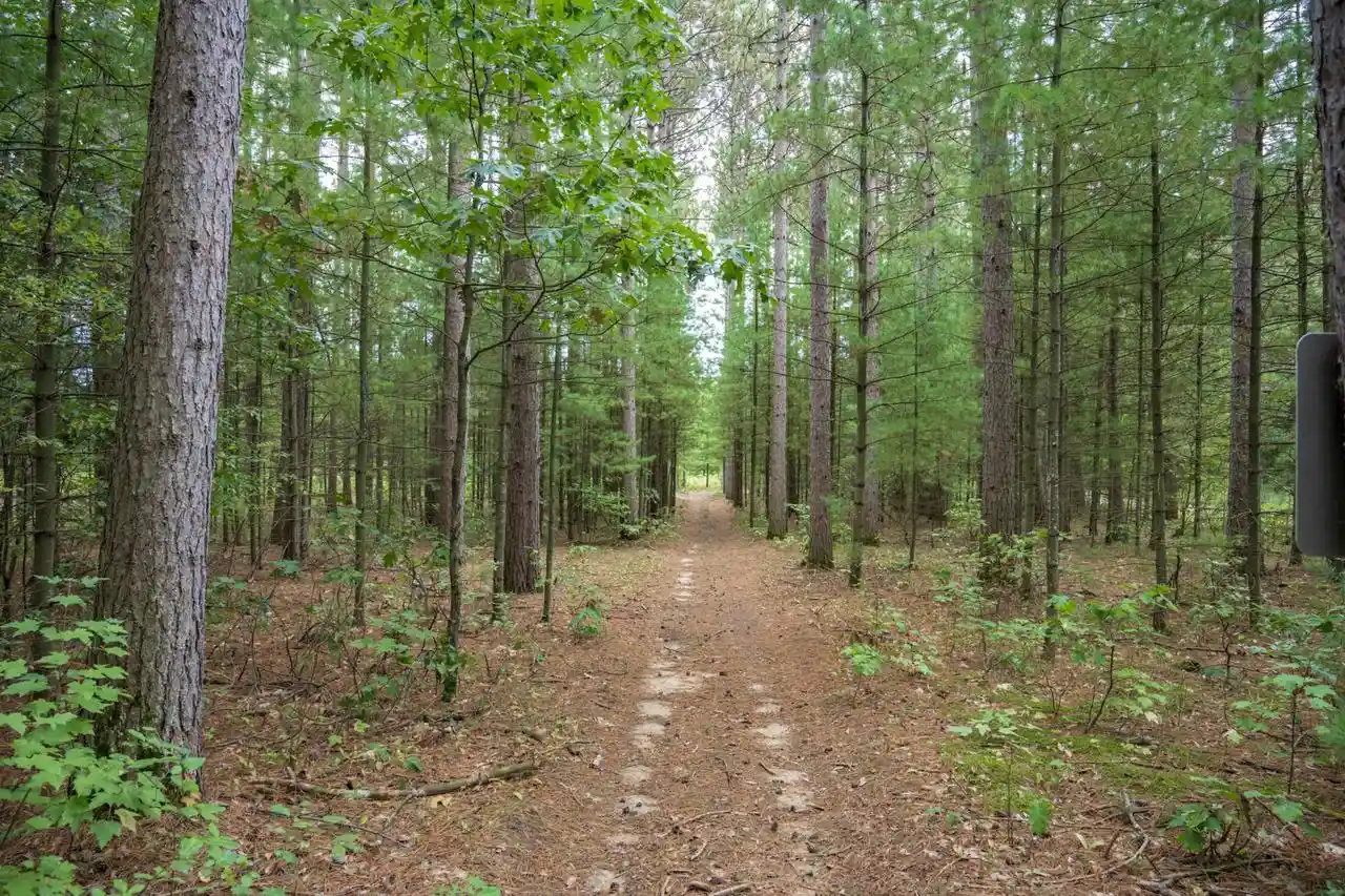 Photo 3 of Land for sale at N12080 14th Avenue, Necedah, WI 54646 | MLS# 2032064 | Listing updated on 2026-09-15