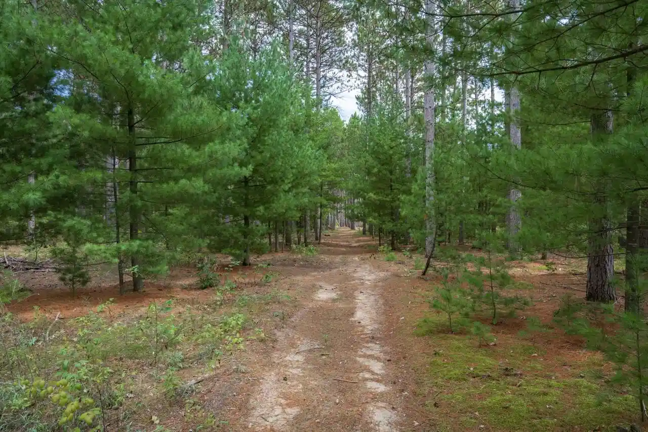Photo 4 of Land for sale at N12080 14th Avenue, Necedah, WI 54646 | MLS# 2032064 | Listing updated on 2026-09-15