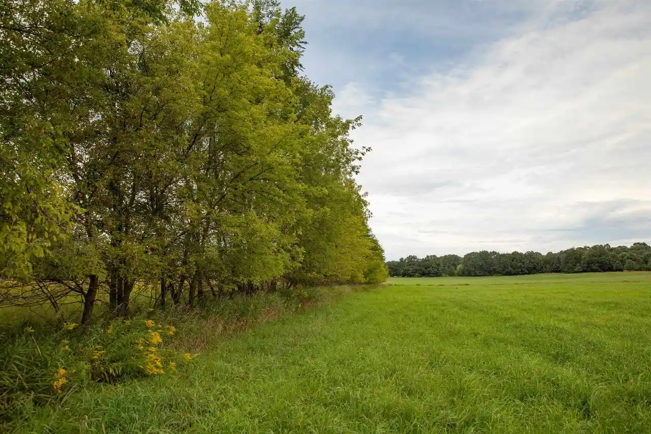 Photo 1 of Land for sale at W7264 County Rd E, Westfield, WI 53964 | MLS# 2032071 | Listing updated on 2026-10-07