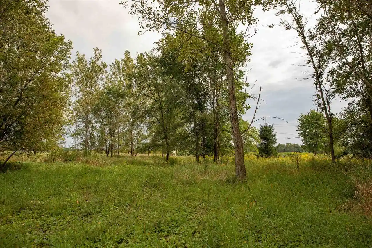 Photo 4 of Land for sale at W7264 County Rd E, Westfield, WI 53964 | MLS# 2032071 | Listing updated on 2026-10-07
