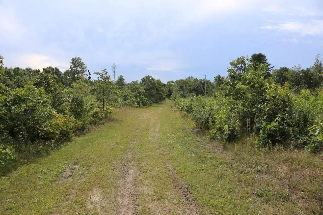 Photo 1 of Sale Pending at 12249 Firefly Rd, Sparta, WI 54656 | MLS# 1979295 | Listing updated on 2026-09-24